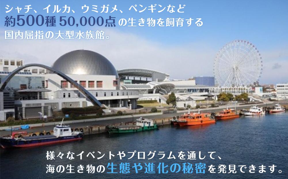 名古屋港水族館入館券（大人入館券２枚）