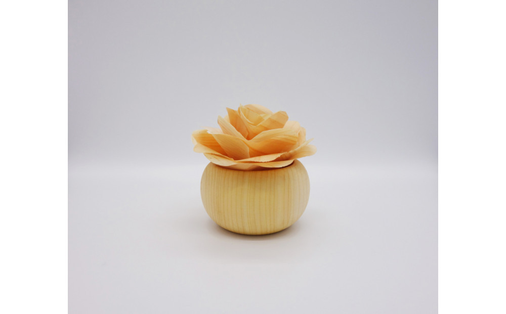 森ã®ããããã²ã®ãã®è±ã®ãã£ãã¥ãŒã¶ãŒ