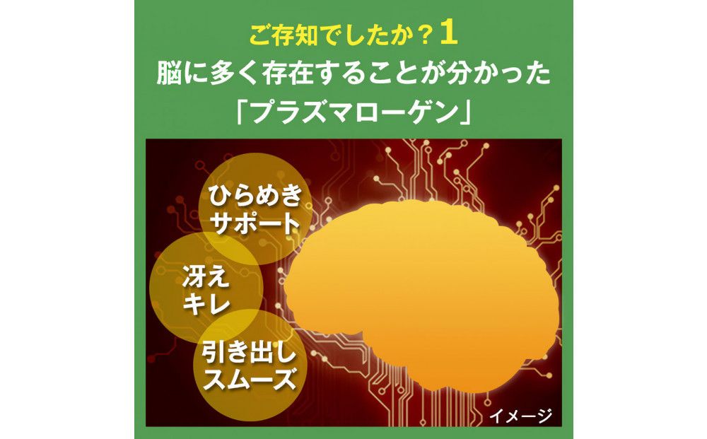 忘れたくないEX 高純度プラズマローゲン サプリ 60粒 3000mg  30日分 DHA EPA イチョウ葉 ノコギリヤシ 核酸 乳酸菌 日本製 サプリメント
