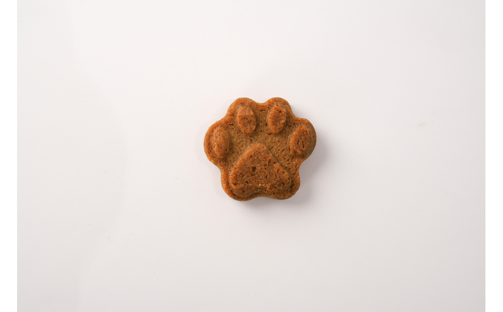 åç«ã®ãã©ã³ã·ã¥çŒ¶ã¯ãããŒãã·ãã¢ã³