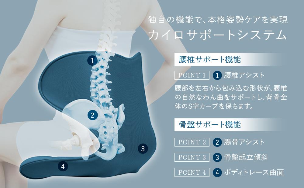 Style SMART【ブラウン】 | 骨盤 椅子 座椅子 姿勢サポート 骨盤補正 健康グッズ 人気 おすすめ 腰痛対策 体幹サポート ストレッチ 健康器具 美姿勢 送料無料 名古屋市