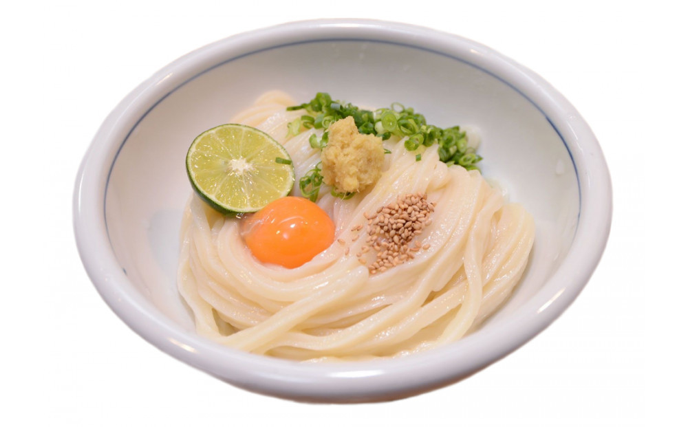 半生うどん8食セット（ボトルだし醤油付）