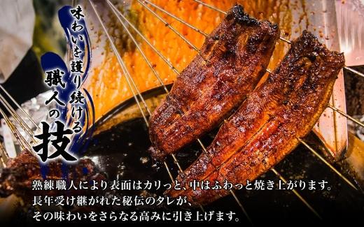 名古屋 うなぎのしら河 国産 鰻 ひつまぶし倶楽部２人前蒲焼き 240g  国産 うなぎ 名物 櫃まぶし ウナギ お茶漬け ギフト お取り寄せ グルメ 送料無料 愛知県 名古屋市