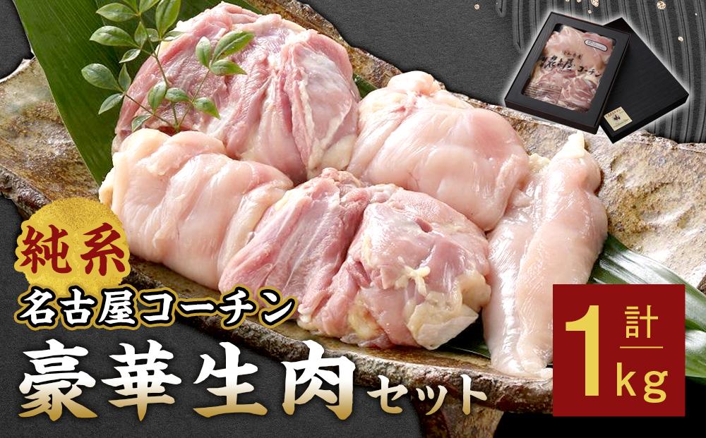 純系名古屋コーチン　豪華生肉セット