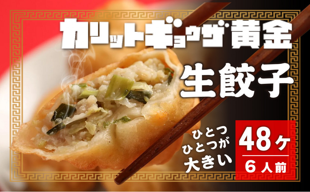 カリットギョウザ 生餃子 48ケ【6人前】ジューシー 大きい 餃子 冷凍餃子 冷凍生餃子 
