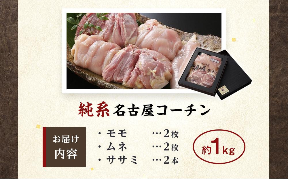 çŽç³»åå€å±ã³ãŒãã³ã豪è¯çèã»ãã