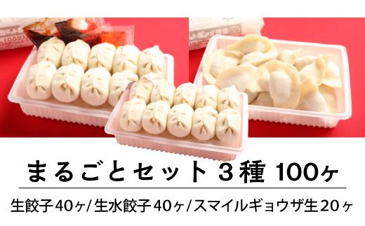 カリットギョウザがっつりセット３種（100ケ）餃子 水餃子 スマイル餃子