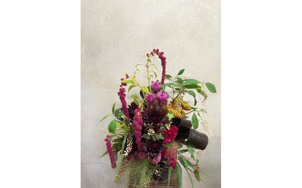 縲先ッ阪ョ譌・縲大ュ」遽縺ョ縺願干繝サ縺翫∪縺九○繝輔Λ繝ッ繝シ繧「繝ャ繝ウ繧ク