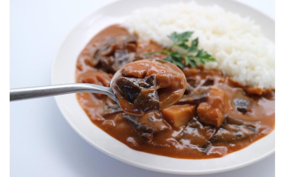 国産きくらげ入りカレー　tororino 詰め合わせ　5食セット (手作りカレー2食、スパイスカレー3食)