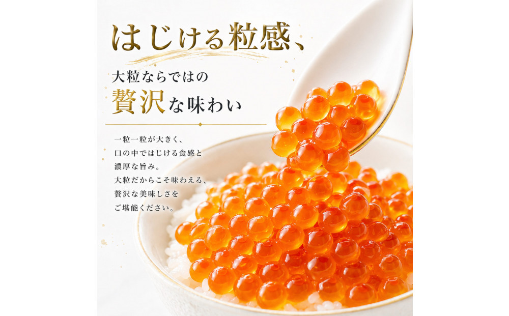 險ウ縺ゅj 縺縺上i驢、豐ケ貍ャ縺 魄ュ蜊オ 蜀キ蜃 500g(250gx2P) 蟆セ蠑オ縺セ繧九ッ縺。