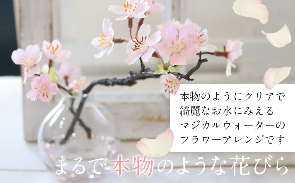 æ°æ¥ãæ·¡éªæ¡ãããããéæ³ã®æ°Žãããžã«ã«ãŠã©ãŒã¿ãŒãèçŽ
ã