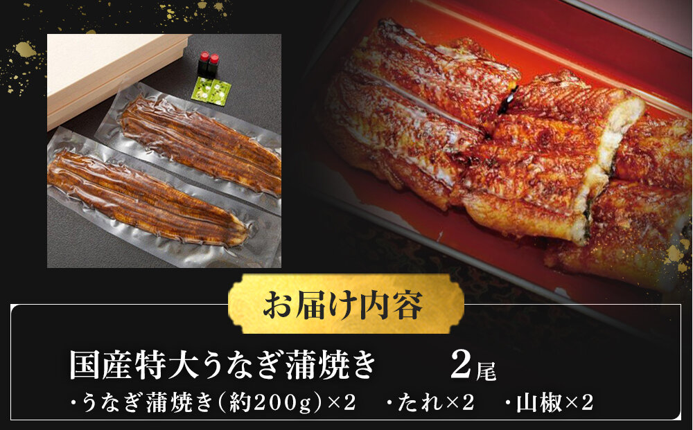 国産特大うなぎ蒲焼き（２尾）