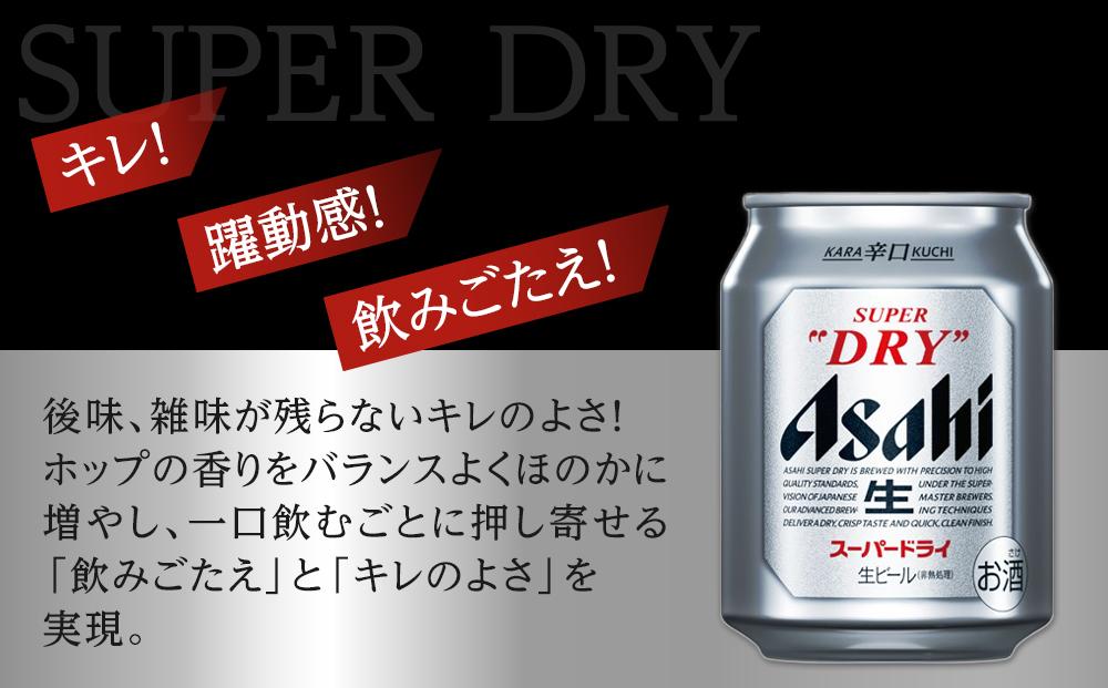 ビール アサヒ スーパードライ 250ml 24本 2ケース 　