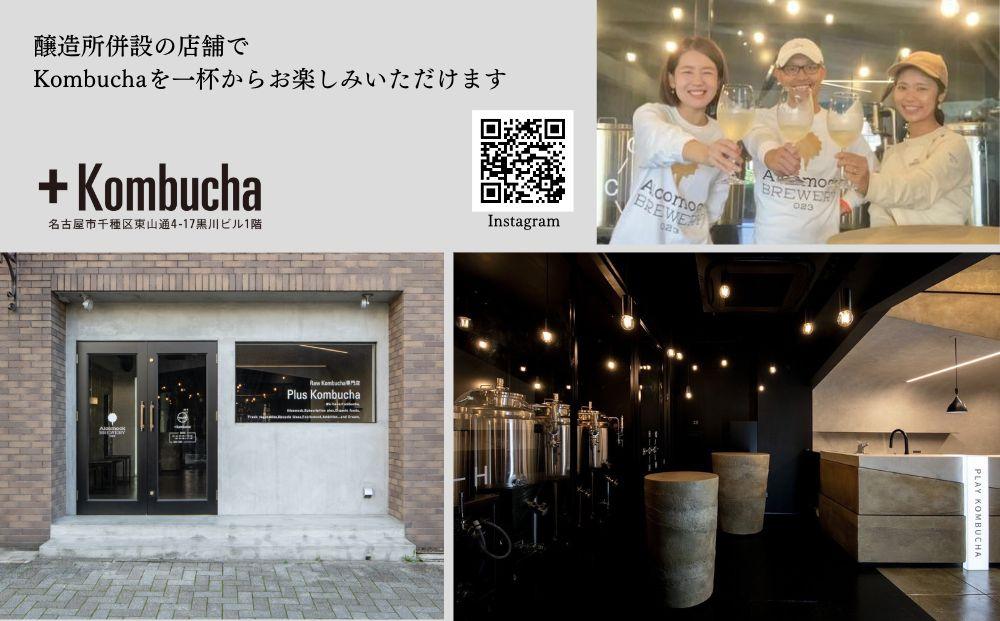 美味しく楽しめる！+KombuchaのKombucha1年定期コース