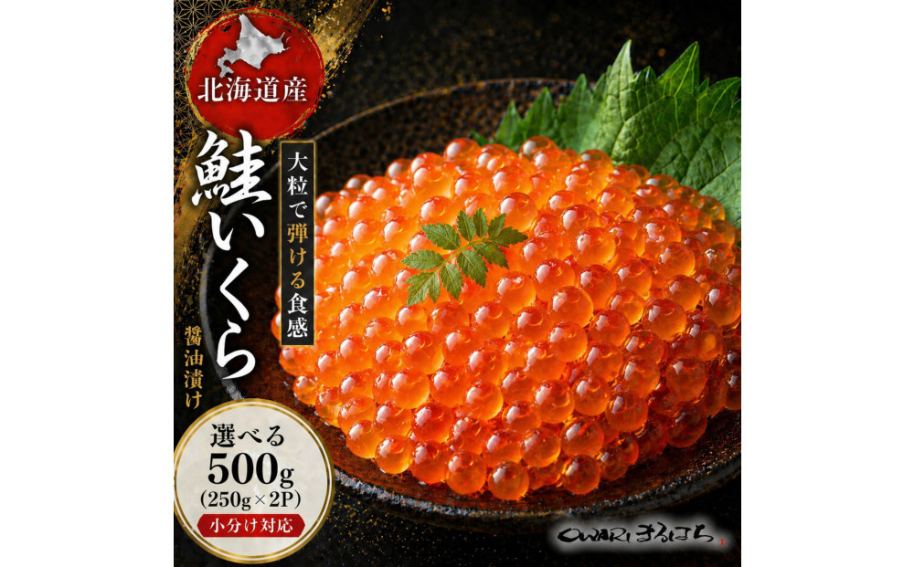 いくら 醤油漬け 500g（250g×2P） 北海道 鮭卵 訳あり 化粧箱入 冷凍 尾張まるはち