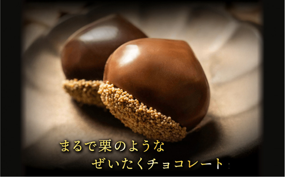 栗りん 【11月上旬から順次発送】まるで栗のような贅沢チョコレート「 ぜいたく一粒 栗きんとんちょこら 」栗きんとん × チョコレート プレゼント スイーツ ギフト 栗きんとん チョコ 送料無料 お取り寄せ 和栗スイーツ 和栗