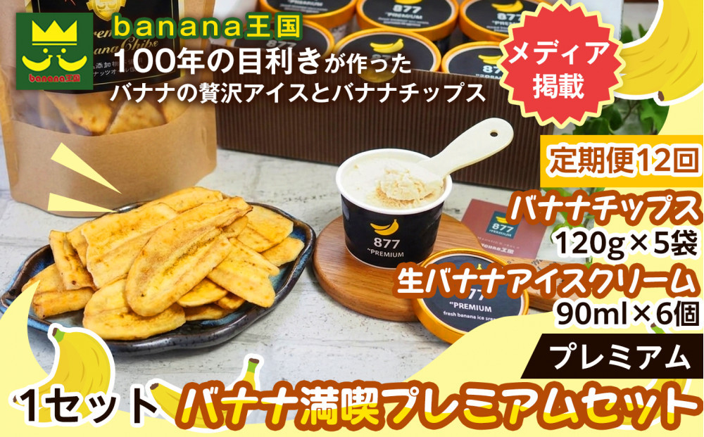 【定期便12ヶ月】【満喫プレミアムセット】プレミアム生バナナアイスクリーム（90ml×6個）・プレミアムバナナチップス （120g×5個） 1セット｜お菓子 デザート 詰め合わせ 食べ比べ ご褒美 人気 ギフト プレゼント 手土産 お祝い お配り 来客用 女性向け おしゃれ おうちカフェ お取り寄せ 贅沢 愛知県 名古屋市