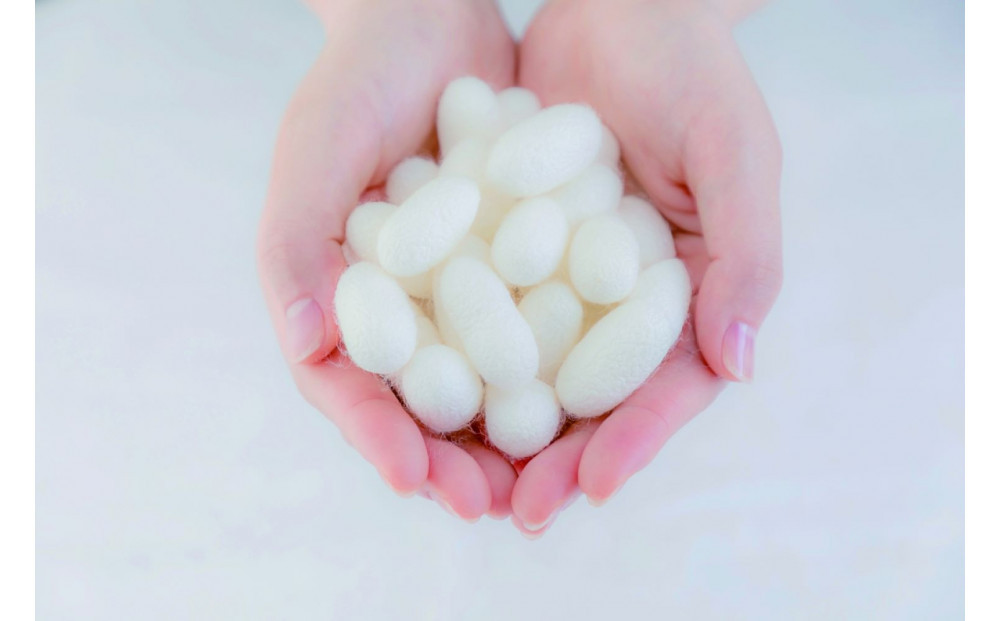 【セット】絹の艶髪　ボリュームアップシルクブラシ＋つげのくし（ねこ）　携帯袋付き