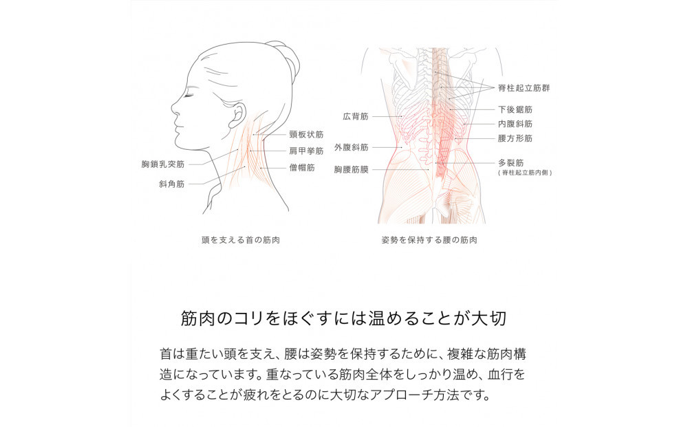 &MEDICAL LUMICARE body