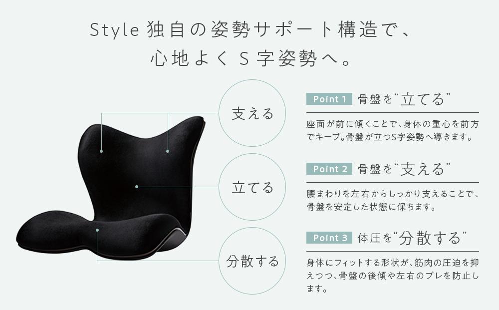 Style PREMIUM DX