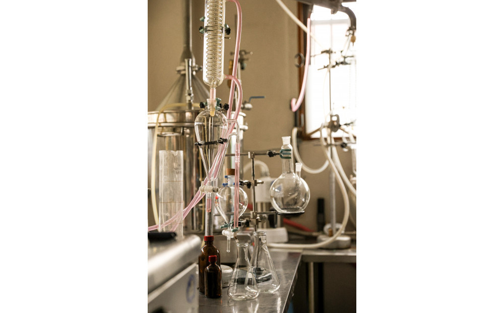 å€ã¿ãããšãã»ã³ã·ã£ã«ãªã€ã«