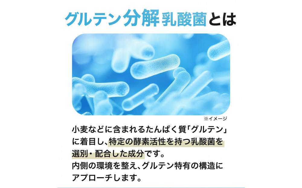 ハルクファクター グルテン分解乳酸菌 GL-CUT 120粒 植物性カプセル ディグルラクト 韓国特許成分 ビフィズス菌 エラグ酸 生酵母 カテキン サラシア 国内製造 サプリメント