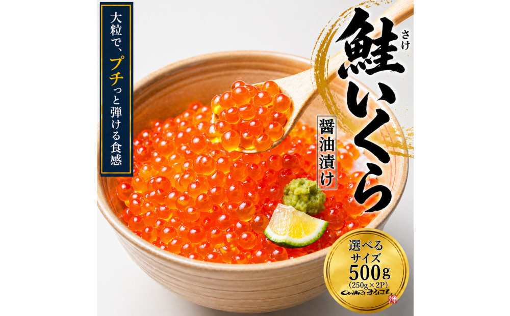 いくら 醤油漬け 500g(250g×2P) アメリカ 鮭の卵 化粧箱入 尾張まるはち | いくら イクラ いくら醤油漬け 鮭卵 醤油漬け 化粧箱入り 贈答用 高級 グルメ 人気 おすすめ 海鮮 魚卵 送料無料