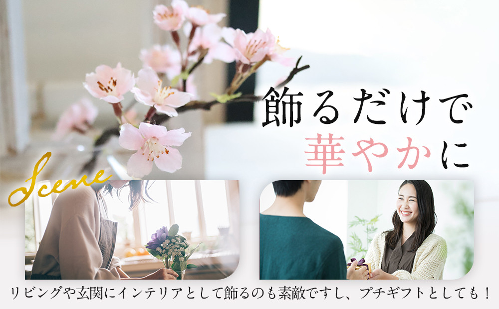 æ°æ¥ãæ·¡éªæ¡ãããããéæ³ã®æ°Žãããžã«ã«ãŠã©ãŒã¿ãŒãèçŽ
ã