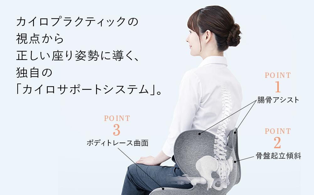 Style Standard【ブラックN01 生地無し仕様】 | スタイルスタンダード 姿勢サポート 骨盤ケア 姿勢矯正 椅子 チェア 腰痛対策 体幹サポート 健康器具 人気 おすすめ 美姿勢 送料無料 名古屋市