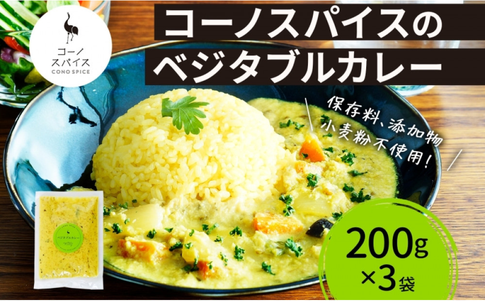 コーノスパイス ベジタブルカレー 200g×3パック スパイスカレー 和風出汁 クリーミー ココナッツ 小麦粉不使用 グルテンフリー カレーライス CONO SPICE コーノコーラ 愛知県 名古屋市