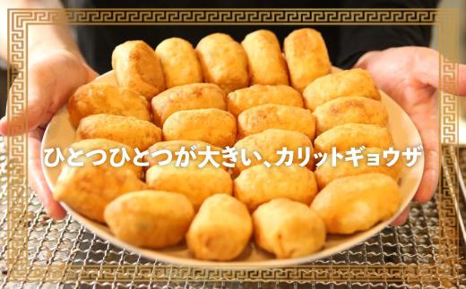 カリットギョウザ焼き餃子冷凍50個　ジューシー