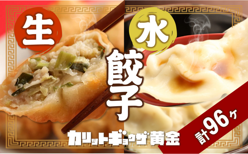 カリットギョウザ やまもりセット２種（96ケ）餃子 64 水餃子 32