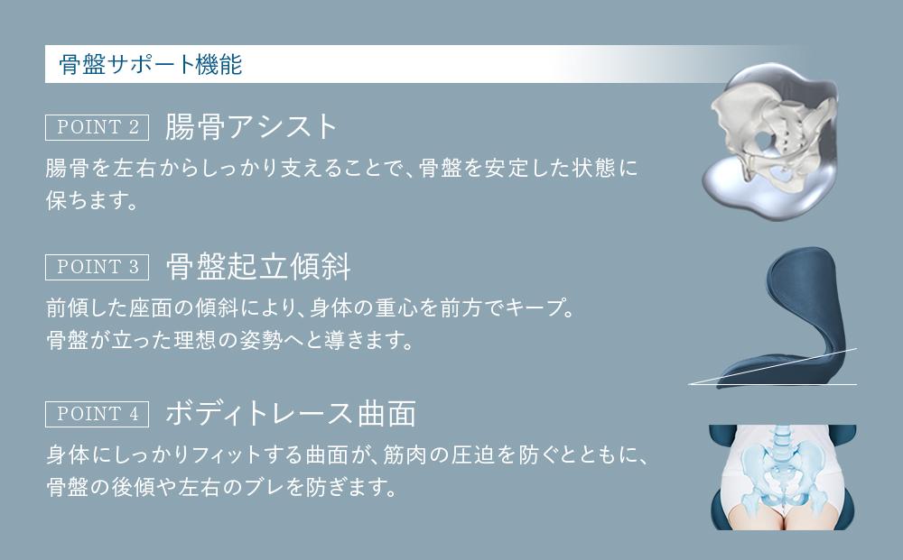 Style SMART【ブラック】 | 骨盤 椅子 座椅子 姿勢サポート 骨盤補正 健康グッズ 人気 おすすめ 腰痛対策 体幹サポート ストレッチ 健康器具 美姿勢 送料無料 名古屋市