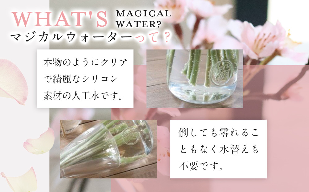 æ°æ¥ãæ·¡éªæ¡ãããããéæ³ã®æ°Žãããžã«ã«ãŠã©ãŒã¿ãŒãèçŽ
ã