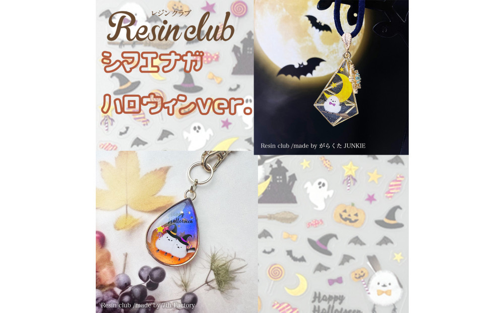 レジンクラブ レジンシート 5枚セット 【シマエナガ】両面タイプ シール