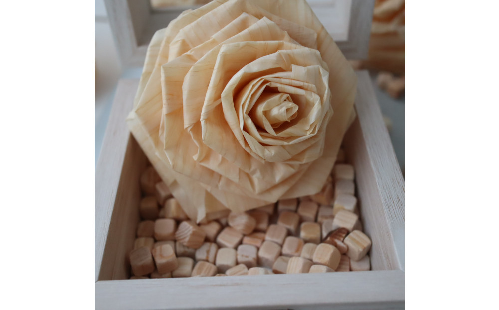 ã²ã®ãéŠã çãã®ãã©ãHONOKI-BLOOM