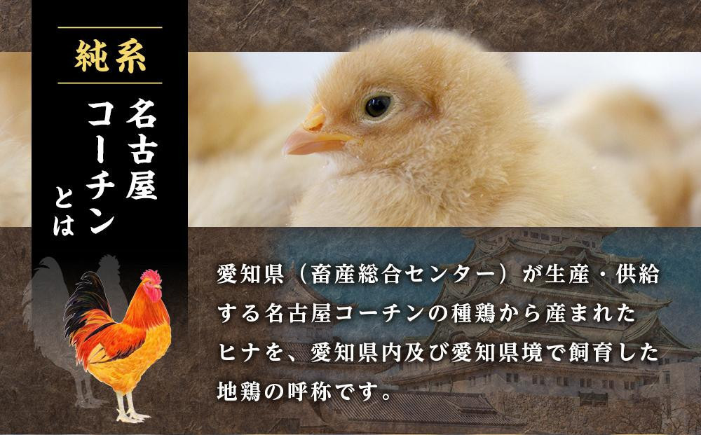 çŽç³»åå€å±ã³ãŒãã³ãçŒãé³¥ãã©ãšãã£ãŒã»ãã