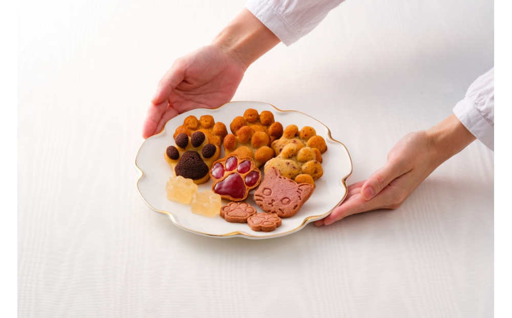 繝√ぉ繧キ繝」迪ォ縺ョ閧臥帥郛カ