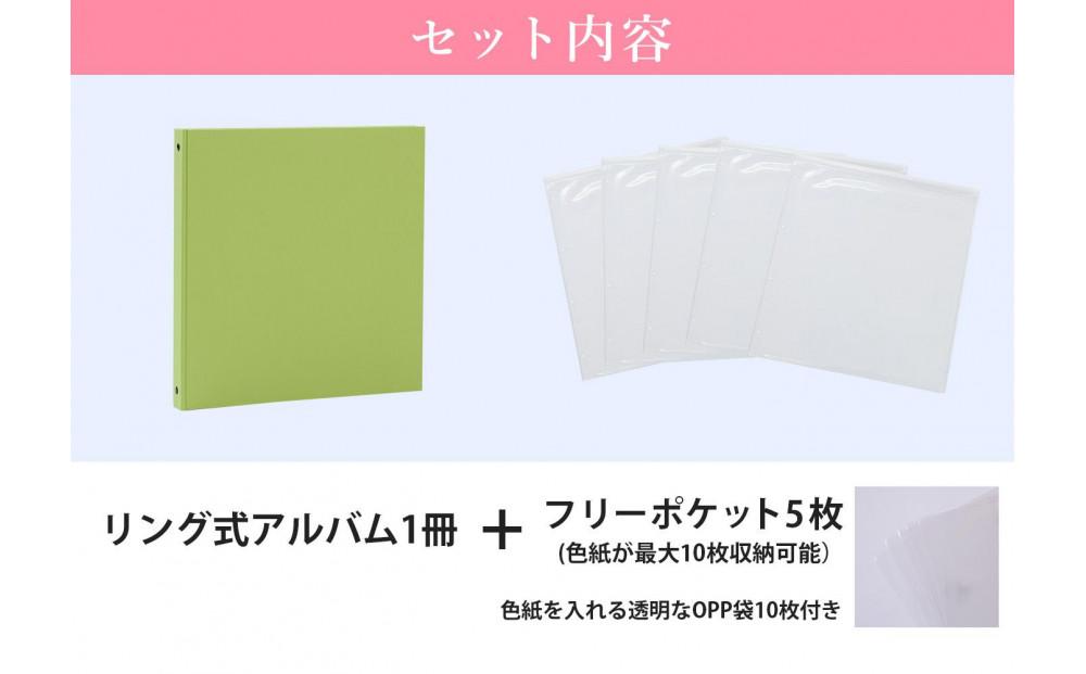 色紙 収納 ファイル 市販の色紙がそのまま収納できるファイル ライトグリーン