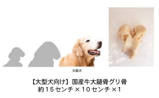 【大型犬向け】国産牛大腿骨グリ骨