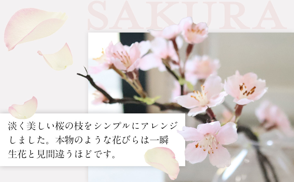 æ°æ¥ãæ·¡éªæ¡ãããããéæ³ã®æ°Žãããžã«ã«ãŠã©ãŒã¿ãŒãèçŽ
ã