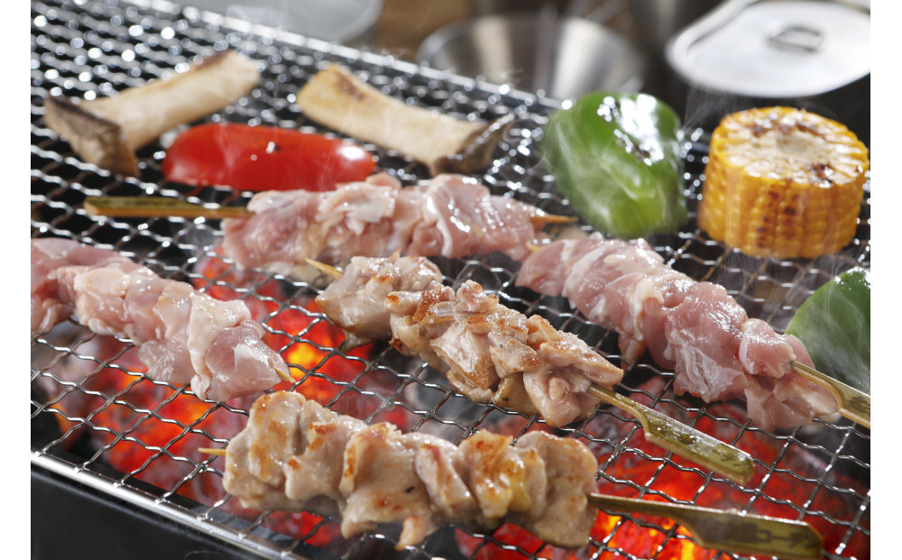 çŽç³»åå€å±ã³ãŒãã³ãçŒãé³¥ãã©ãšãã£ãŒã»ãã