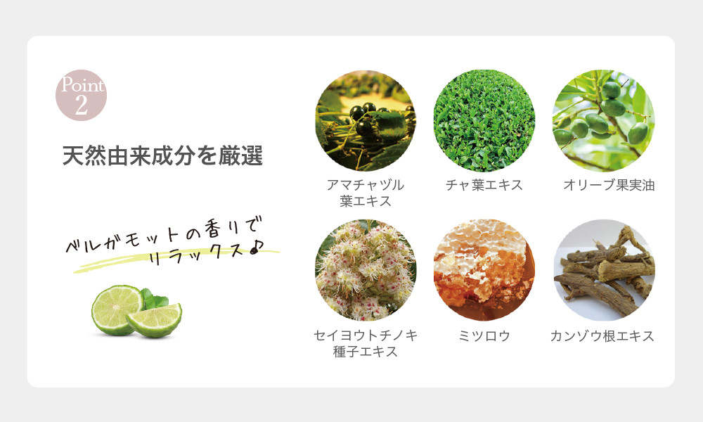 æéå®¶ã®æ¿åä¿æ¹¿ã¯ãªãŒã