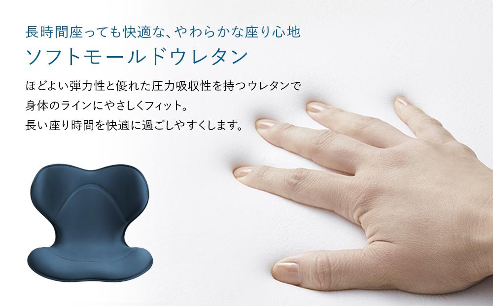 Style SMART【ブラック】 | 骨盤 椅子 座椅子 姿勢サポート 骨盤補正 健康グッズ 人気 おすすめ 腰痛対策 体幹サポート ストレッチ 健康器具 美姿勢 送料無料 名古屋市