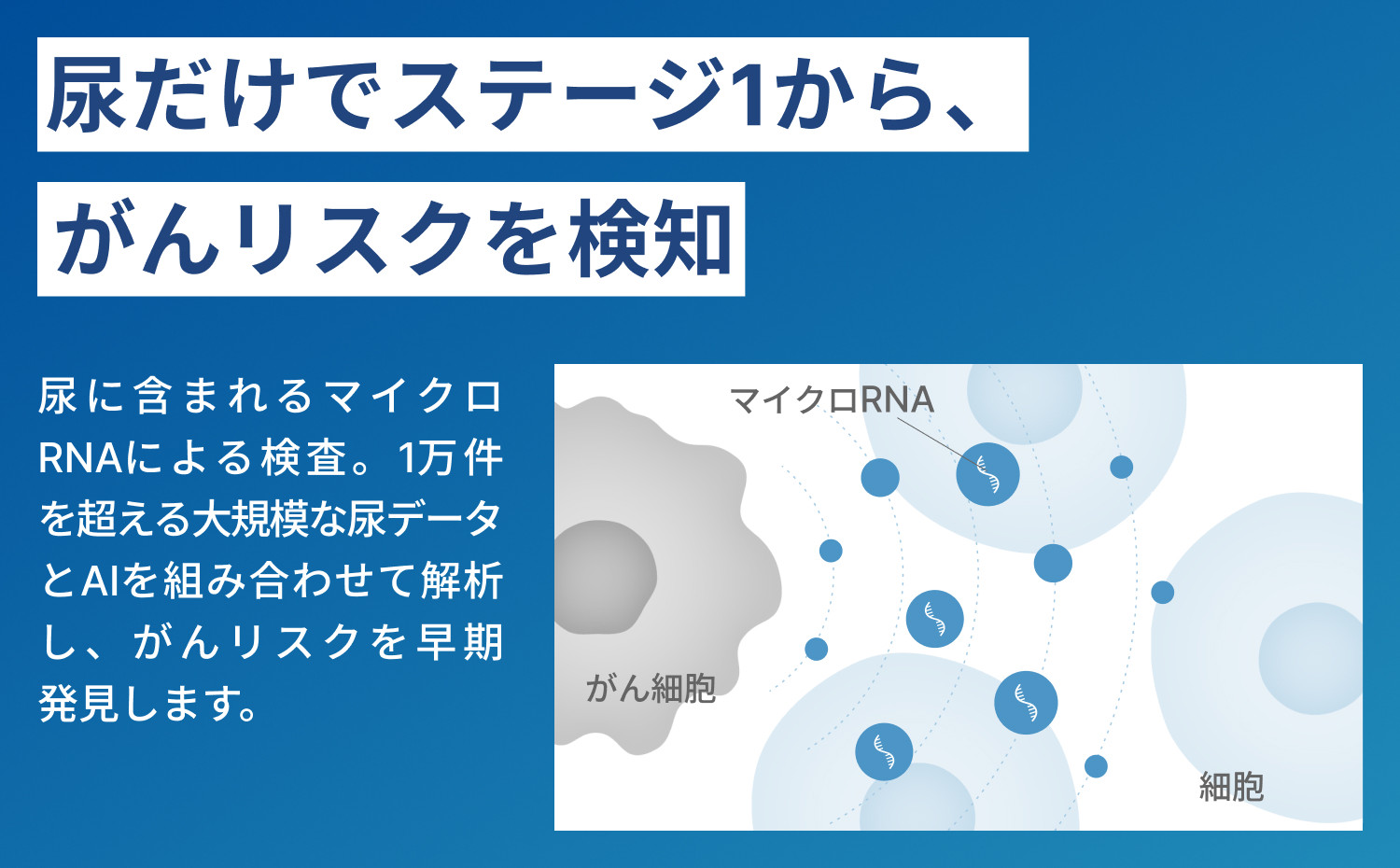 マイシグナル・スキャン｜尿中のマイクロRNAを測定し、10種のがんリスクを部位別にリスク判定