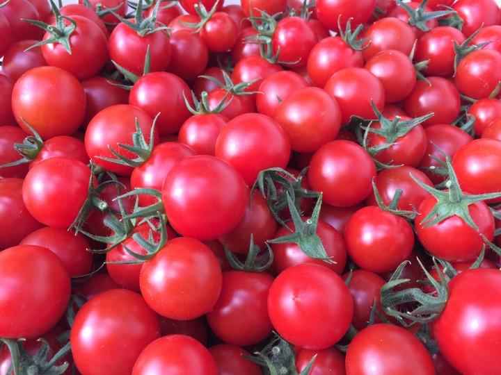 飯田農園　幻のトマト　有機栽培高糖度miuトマトジュース【赤】１５本セット【有機JAS】