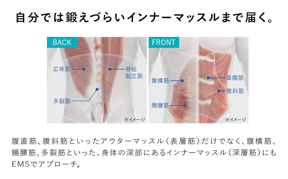 SIXPAD Medical CoreãLãµã€ãºã ã·ãã¯ã¹ããã ã¡ãã£ã«ã«ã³ã¢ ãã¬ãŒãã³ã°