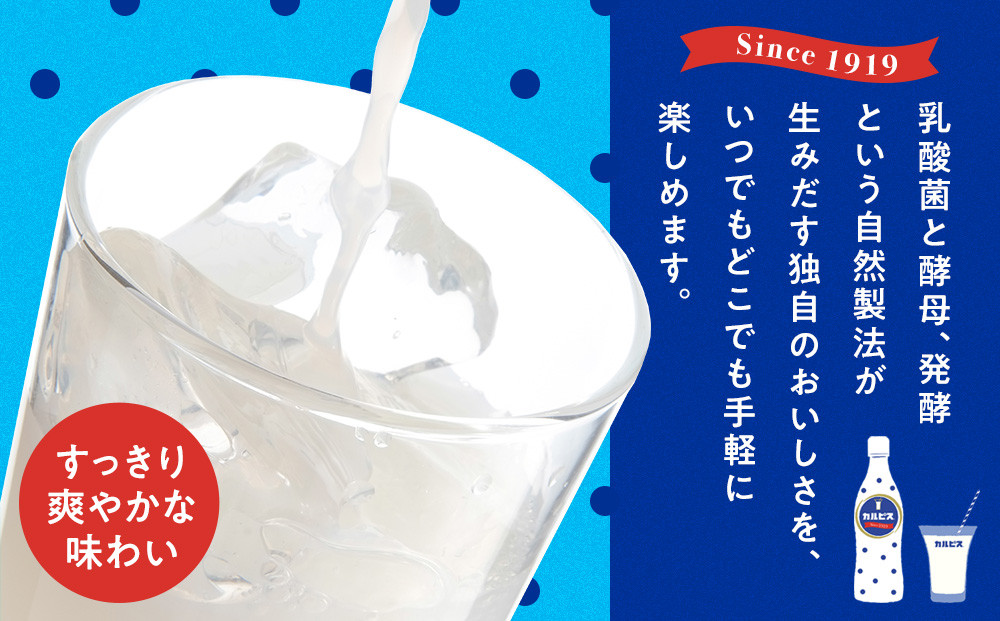 アサヒカルピスウォーターPET5０0ml　24本入　2ケース