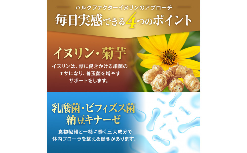 ハルクファクター イヌリン 65,500mg 水溶性 食物繊維 大容量 300粒 国内製造 カテキン 菊芋 ビフィズス菌 乳酸菌 酵素 サラシア ビタミン 全391種 サプリ 錠剤