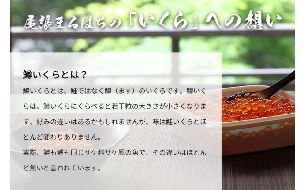 いくら 醤油漬け 600g(150g×4P) 鱒の卵 冷凍 尾張まるはち